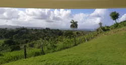 Vista Linda Countryside (The Hillside Little House)