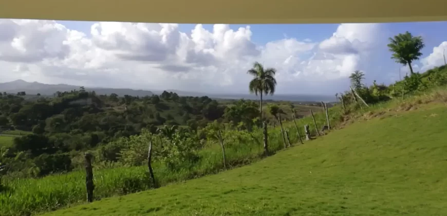Vista Linda Countryside (The Hillside Little House)